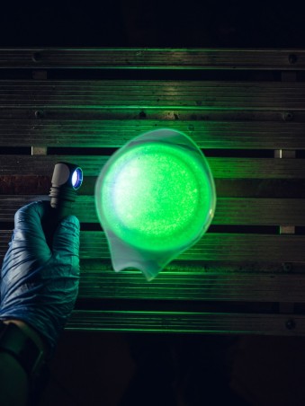 Latarka ARMYTEK Wizard C2 WUV światło Białe i Ultrafioletowe - 1100lm