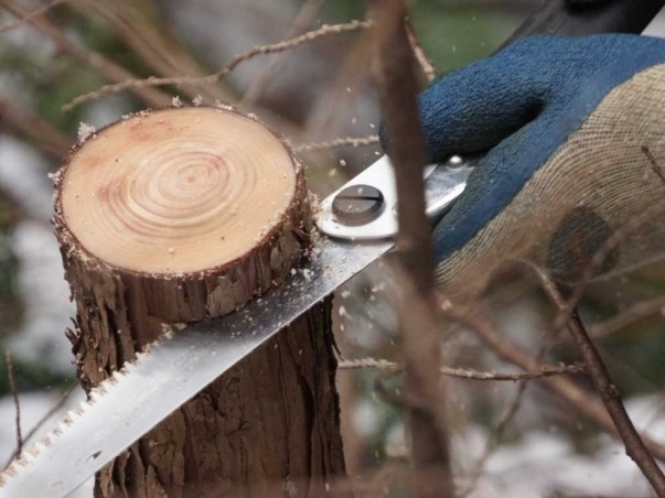 Piła ręczna składana SILKY GOMBOY 240-10